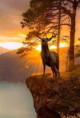 /album/fauna/jelen2-jpg1/