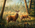 /album/fauna/jagd-1-02-jpg/